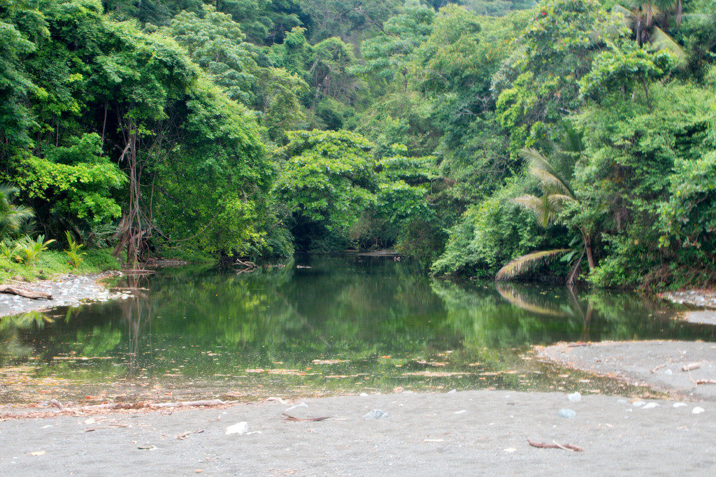 voyage-ecologique-costa-rica