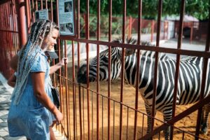 zoo à Nice