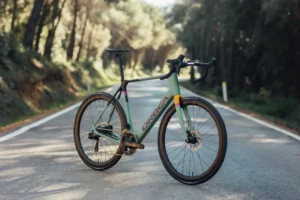 Analyse du Marché Mondial du Vélo